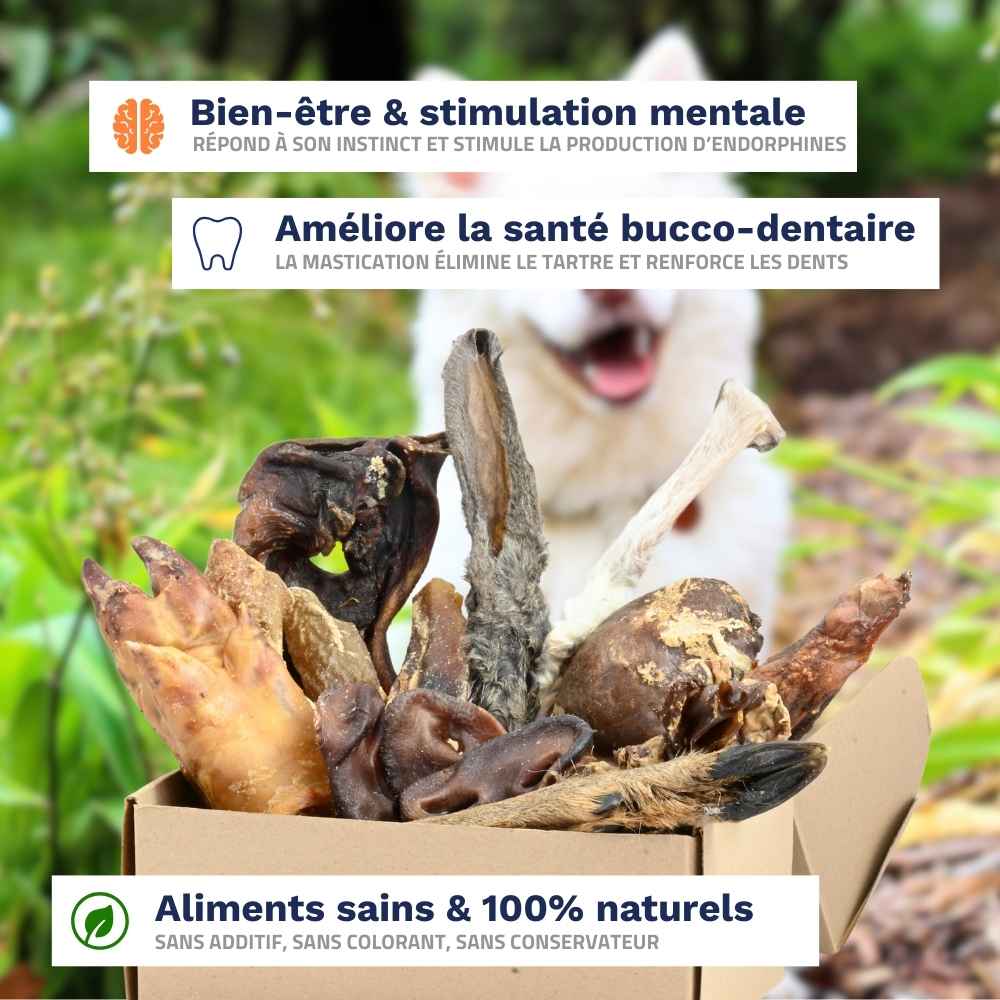 Pack des Curieux