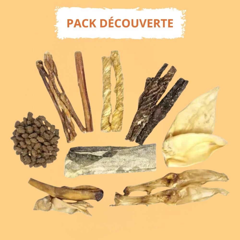 Pack Découverte