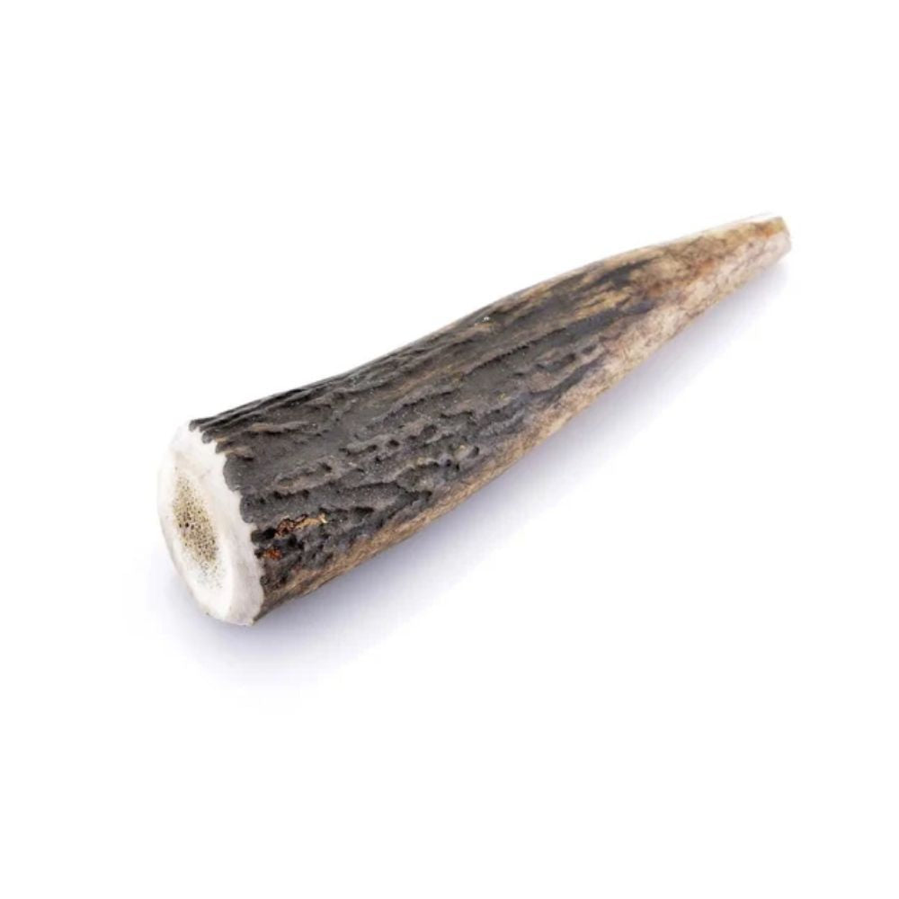 Bois de cerf entier