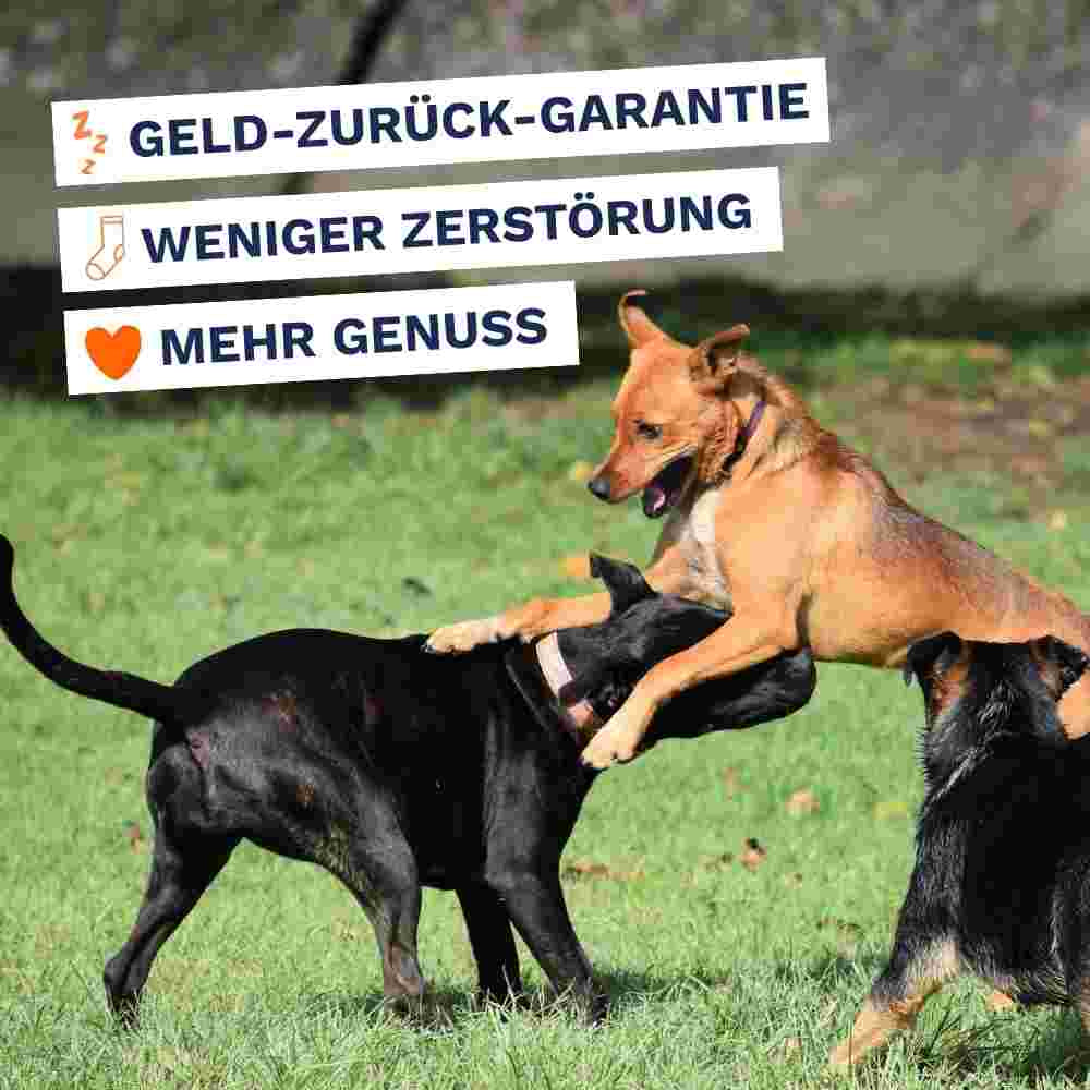 Kraftpaket (hunde über 7 kg)