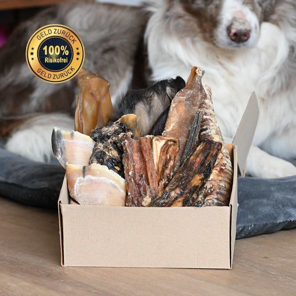 Kraftpaket (hunde über 7 kg)