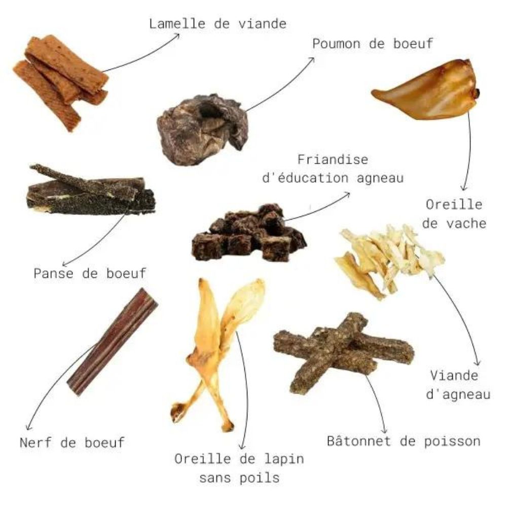 Pack Découverte