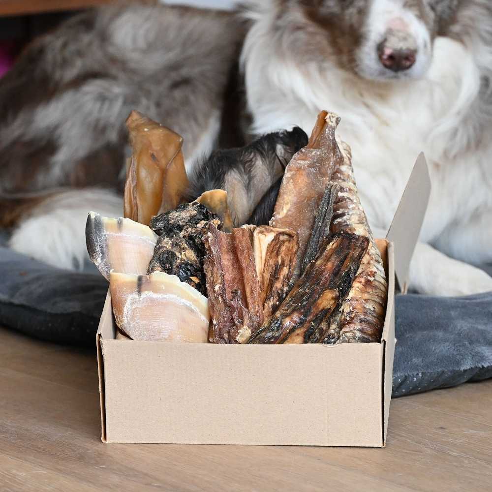Pack Robustesse