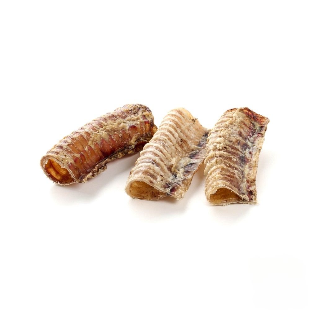 Trachée de boeuf courtes